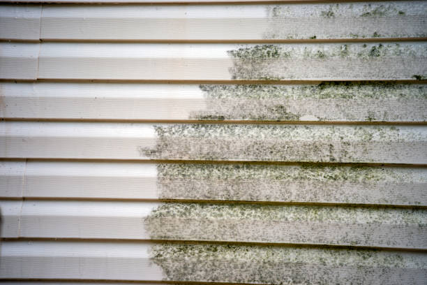 Best Hoarding Cleanup  in Auburn, CA
